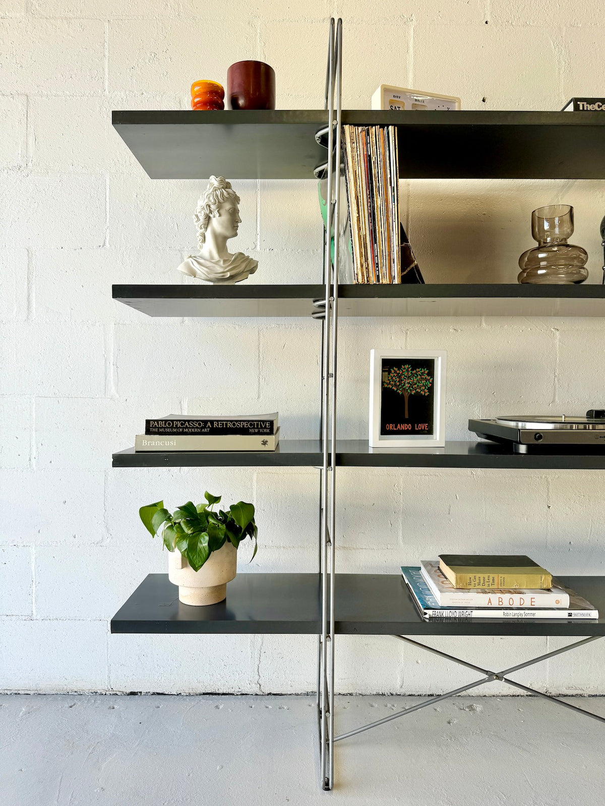 IMG_0373_1200x.jpg?v=1714084358